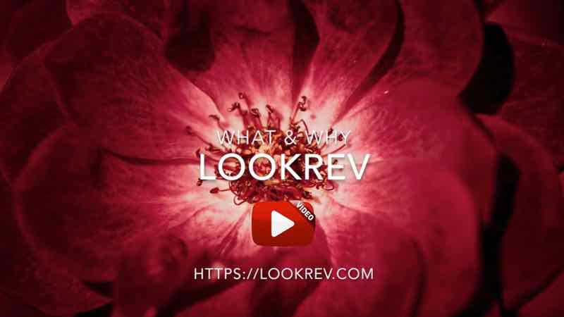 LookRev Intro